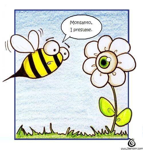 joe-mohr-bee-and-flower-monsanto