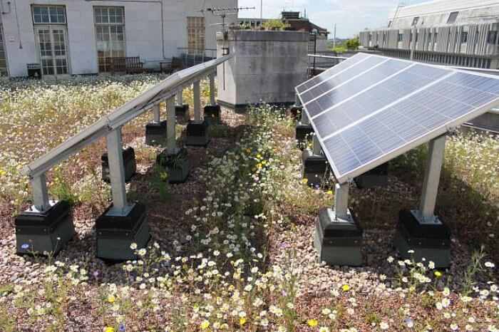 institutional green roof
