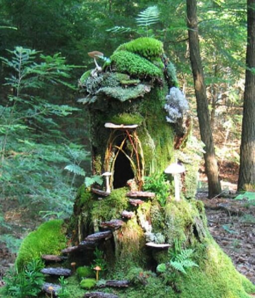 sally-forest-mossy-house